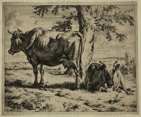 Adriaen van de Velde, Dutch, 1636-1672, Two Cows at the Foot of a Tree, between 1636 and 1672, etching printed in black ink on laid paper, Sheet (trimmed within plate mark): 5 1/8 × 6 1/4 inches (13 × 15.9 cm)