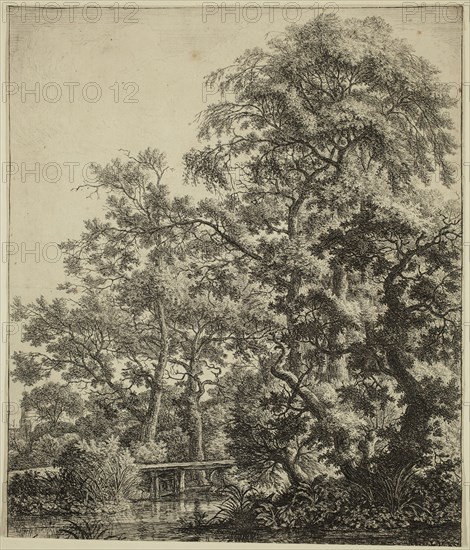 Anthonie Waterloo, Dutch, 1610-1690, Small Bridge over a Stream, 17th century, etching and drypoint printed in black ink on laid paper, Sheet (trimmed into image area): 10 7/8 × 9 1/4 inches (27.6 × 23.5 cm)