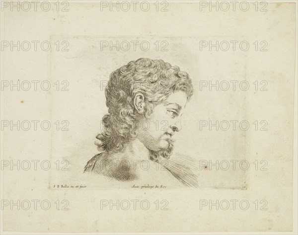 Stefano della Bella, Italian, 1610-1664, Head of a Young Man, Profile Turned Right, ca. 1641, etching printed in black ink on laid paper, Plate: 4 3/4 × 6 1/8 inches (12.1 × 15.6 cm)