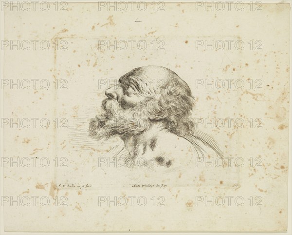 Stefano della Bella, Italian, 1610-1664, Head of an Old Man, ca. 1641, etching printed in black ink on laid paper, Plate: 4 3/4 × 5 3/4 inches (12.1 × 14.6 cm)