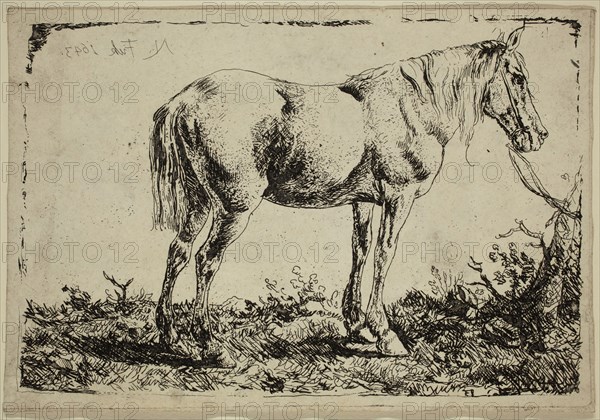 Phillips Wouwerman, Dutch, 1619-1668, Horse, 1643, etching printed in black ink on laid paper, Sheet (trimmed within plate mark): 5 × 7 3/8 inches (12.7 × 18.7 cm)