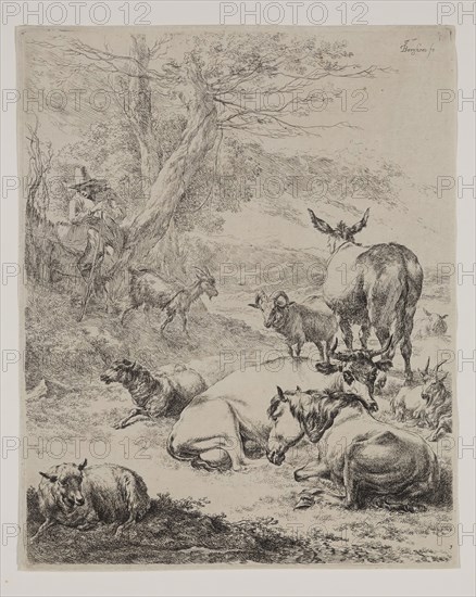 Nicolaes Berchem, Dutch, 1620-1683, Resting Herd, between 1620 and 1683, etching printed in black ink on laid paper, Plate: 10 1/4 × 8 1/4 inches (26 × 21 cm)