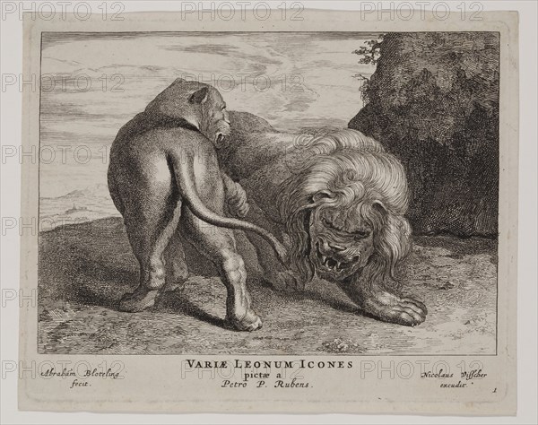 Abraham Blooteling, Dutch, 1640-1690, after Peter Paul Rubens, Flemish, 1577-1640, Lions, Plate 1, between 1660 and 1690, etching printed in black ink on laid paper, Plate: 5 5/8 × 7 inches (14.3 × 17.8 cm)