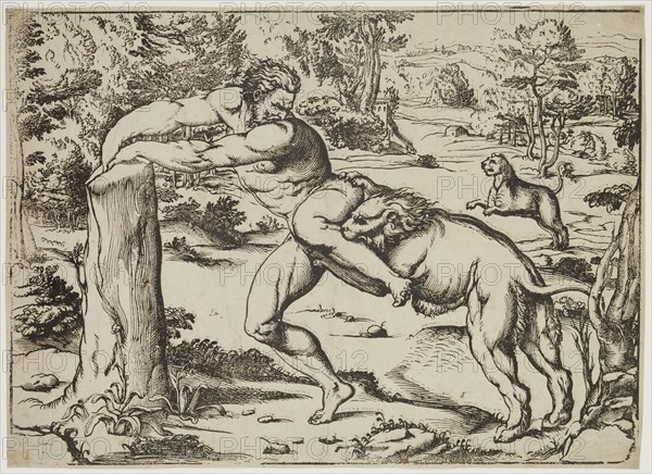 Niccolò Boldrini, Italian, 1510-1566, Milo Attacked by the Lions, between 1510 and 1566, woodcut printed in black ink on laid paper, Image: 11 7/8 × 16 1/4 inches (30.2 × 41.3 cm)