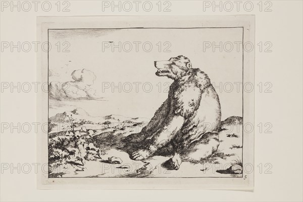 Marcus de Bye, Dutch, 1639 - 1690, after Paul Potter, Dutch, 1625 - 1654, Seated Bear Facing Left, 17th century, etching printed in black ink on laid paper, Plate: 5 1/4 × 6 3/4 inches (13.3 × 17.1 cm)