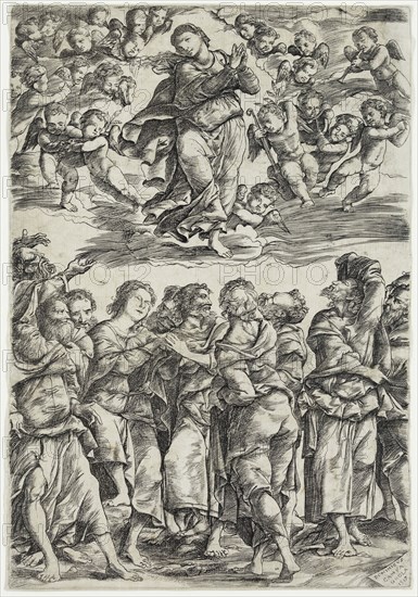 Domenico Campagnola, Italian, 1500-1564, Assumption of the Virgin, 1517, engraving printed in black ink on laid paper, Plate: 11 1/8 × 7 5/8 inches (28.3 × 19.4 cm)