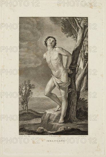 Giuseppe Asioli, Italian, 1783-1845, after Guido Reni, Italian, 1575-1642, Saint Sebastian, between 1800 and 1845, etching printed in black ink on wove paper, Plate: 12 1/4 × 8 inches (31.1 × 20.3 cm)