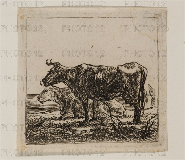 Aelbert Cuyp, Dutch, 1620-1691, Two Cows with Boats in Right Background, between 1620 and 1691, etching printed in black ink on laid paper, Plate: 2 5/8 × 2 7/8 inches (6.7 × 7.3 cm)