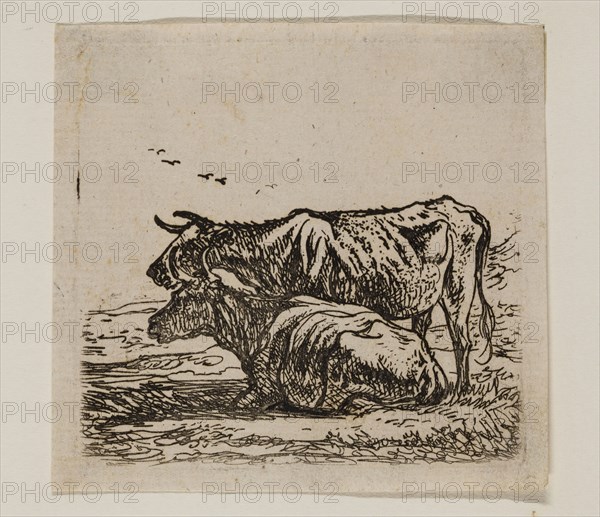 Aelbert Cuyp, Dutch, 1620-1691, Cows, between 1620 and 1691, etching printed in black ink on laid paper, Plate: 2 5/8 × 2 3/4 inches (6.7 × 7 cm)