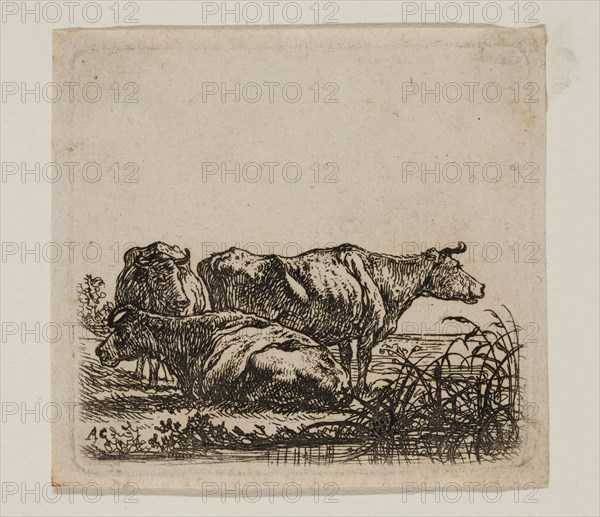 Aelbert Cuyp, Dutch, 1620-1691, Cows, between 1620 and 1691, etching printed in black ink on laid paper, Plate: 2 5/8 × 2 7/8 inches (6.7 × 7.3 cm)