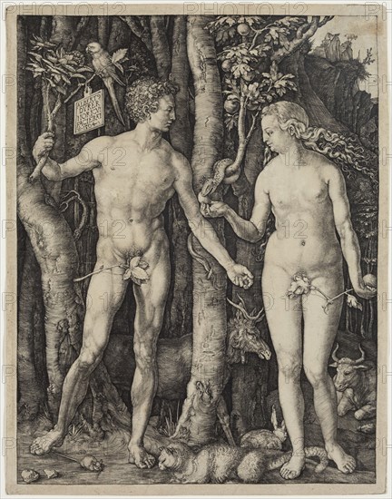 Albrecht Dürer, German, 1471-1528, Adam and Eve, 1504, engraving printed in black ink on laid paper, Plate (and sheet): 10 3/8 × 8 inches (26.4 × 20.3 cm)
