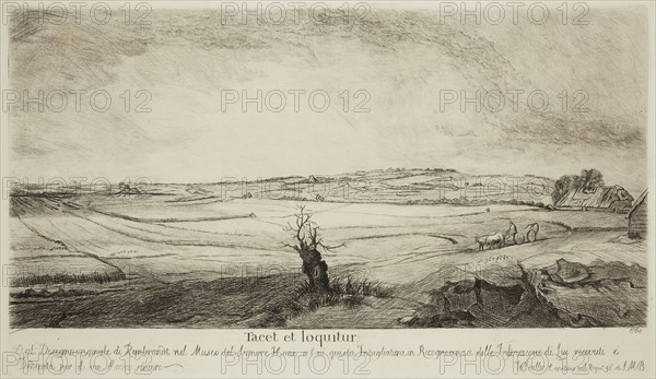 William Baillie, English, 1723-1810, after Rembrandt Harmensz van Rijn, Dutch, 1606-1669, Landscape with Old Tree, 1760, etching and drypoint printed in black ink on wove paper, Plate: 7 × 12 inches (17.8 × 30.5 cm)