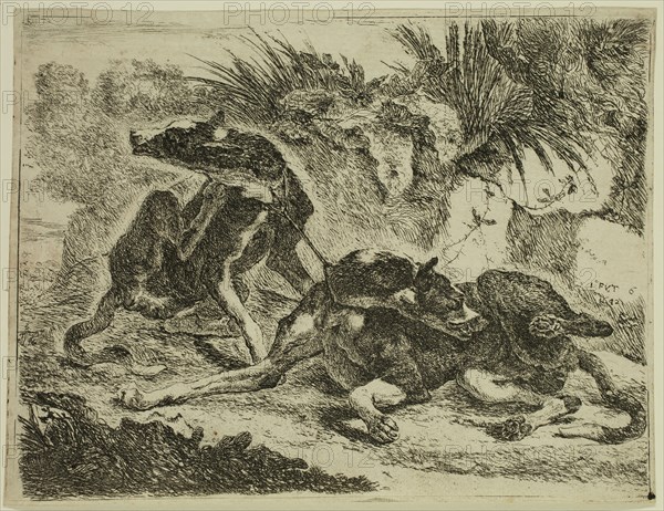 Jan Fyt, Flemish, 1611-1661, Two Greyhounds, 1642, etching printed in black ink on laid paper, Plate: 6 3/4 × 8 3/4 inches (17.1 × 22.2 cm)