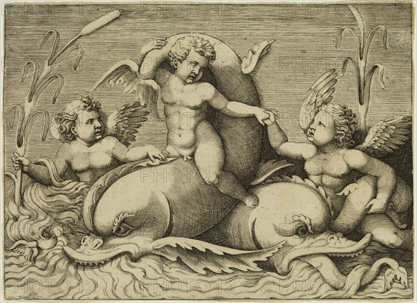 Adamo Scultori, Italian, 1530-1585, after Giulio Romano, Italian, 1499-1546, Cupids Sporting with a Dolphin, between 1530 and 1585, engraving printed in black ink on laid paper, Sheet (trimmed within plate mark): 4 5/8 × 6 3/8 inches (11.7 × 16.2 cm)