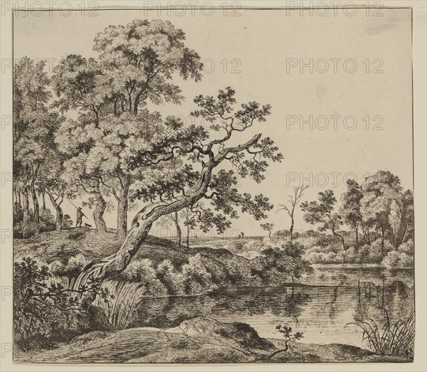 Jan Hackaert, Dutch, 1628 - after 1685, Leaning Tree at the Water, 17th century, etching printed in black ink on laid paper, Sheet (trimmed within plate mark): 7 1/2 × 8 1/2 inches (19.1 × 21.6 cm)