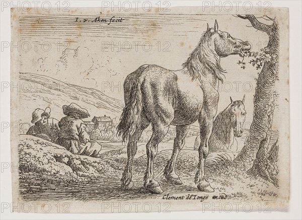 Jan van Aken, Dutch, 1614-1661, Horse Eating Leaves from a Tree, 17th century, etching printed in black ink on laid paper, Plate: 2 7/8 × 3 7/8 inches (7.3 × 9.8 cm)
