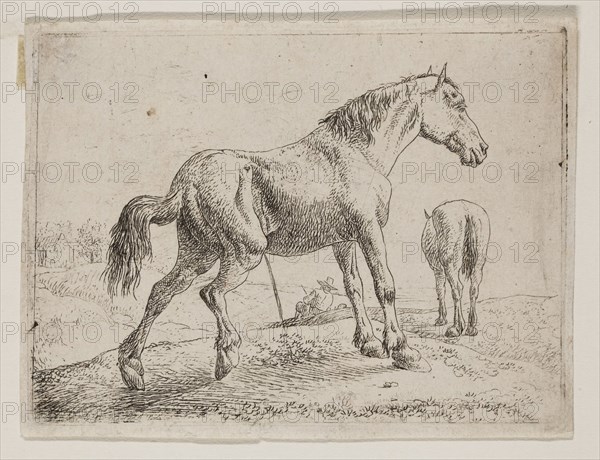 Jan van Aken, Dutch, 1614-1661, Pissing Horse, 17th century, etching printed in black ink on laid paper, Plate: 2 3/4 × 3 3/4 inches (7 × 9.5 cm)