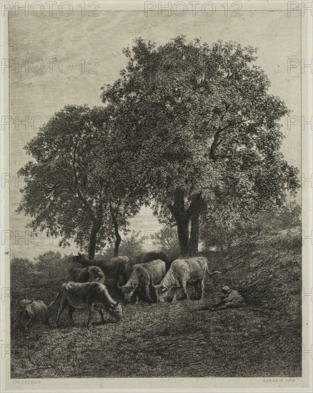 Charles Émile Jacque, French, 1813-1894, Le repose, between 1840 and 1860, etching printed in black ink on chine-collé, Plate: 8 3/4 × 6 5/8 inches (22.2 × 16.8 cm)