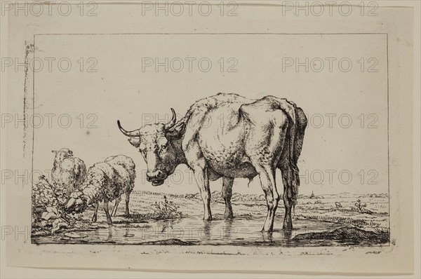 Jan, II Kobell, Dutch, 1778-1814, Standing Ox and Two Sheep, between 18th and 19th century, etching printed in black ink on laid paper, Plate: 3 7/8 × 6 3/8 inches (9.8 × 16.2 cm)