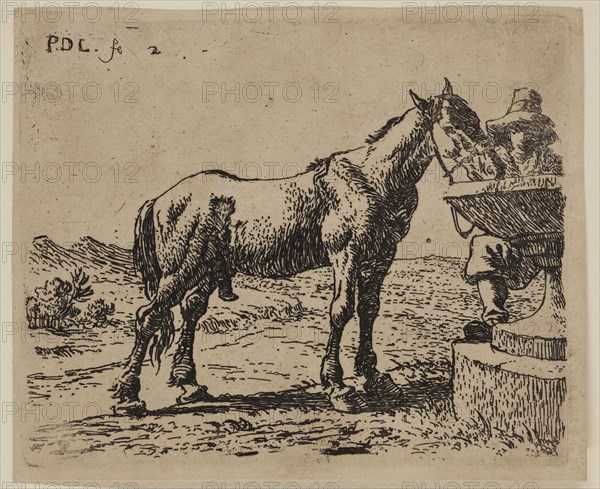 Pieter de Laer, Dutch, 1592-1642, Horse Drinking, between 1592 and 1642, etching printed in black ink on laid paper, Plate: 3 1/4 × 3 7/8 inches (8.3 × 9.8 cm)
