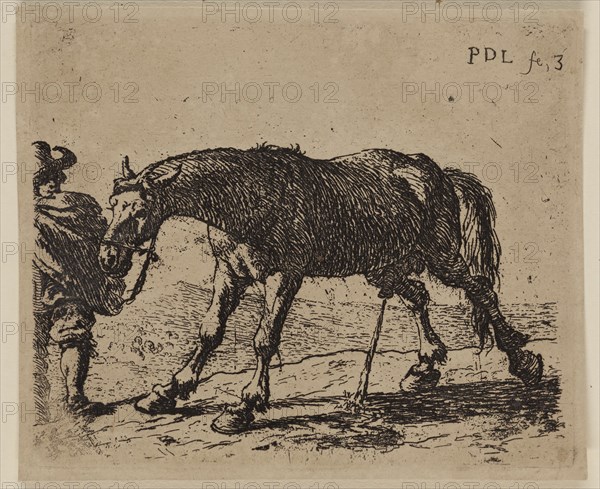 Pieter de Laer, Dutch, 1592-1642, Pissing Horse, between 1592 and 1642, etching printed in black ink on laid paper, Plate: 3 1/4 × 3 7/8 inches (8.3 × 9.8 cm)