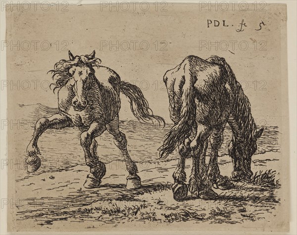 Pieter de Laer, Dutch, 1592-1642, Two Horses at Pasture, between 1592 and 1642, etching printed in black ink on laid paper, Plate: 3 1/4 × 3 7/8 inches (8.3 × 9.8 cm)