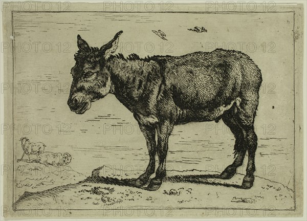 Govaert van der Leeuw, Dutch, 1645-1688, The Ass, 17th century, etching printed in black ink on laid paper, Plate: 4 1/4 × 6 inches (10.8 × 15.2 cm)