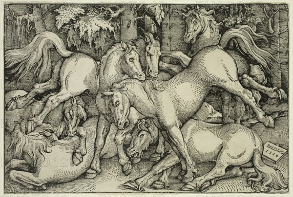 Hans Baldung Grien, German, 1484-1545, Group of Seven Horses, 1534, woodcut printed in black ink on laid paper, Image: 8 3/8 × 12 1/2 inches (21.3 × 31.8 cm)