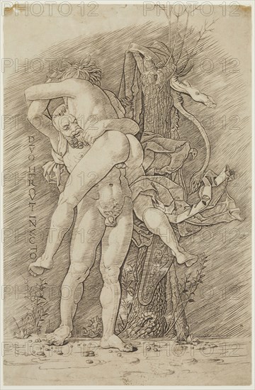school of Andrea Mantegna, Italian, 1431-1506, Hercules and Antaeus, between 1450 and 1500, etching (?) and engraving (?) printed in brown ink on laid paper, Image and sheet: 13 1/8 × 8 1/2 inches (33.3 × 21.6 cm)