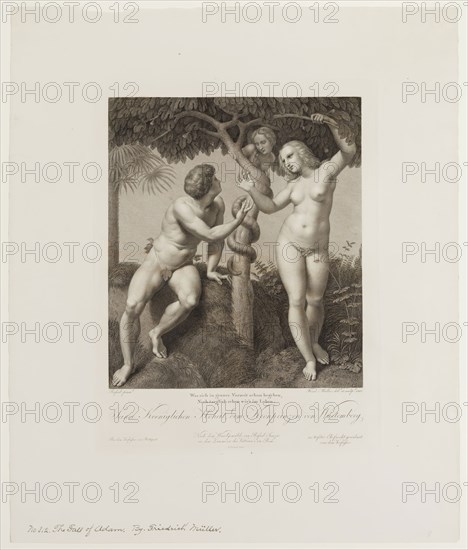 Johann Friedrich Wilhelm Muller, German, 1782-1816, after Raphael, Italian, 1483-1520, Fall of Adam, 1813, Engraving printed in black on wove paper, plate: 15 3/8 x 11 3/4 in.