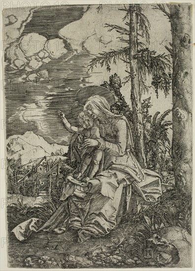 Albrecht Altdorfer, German, 1480-1538, Madonna with the Blessing Child, 1515, engraving printed in black ink on laid paper, Image and sheet: 6 1/2 × 4 5/8 inches (16.5 × 11.7 cm)