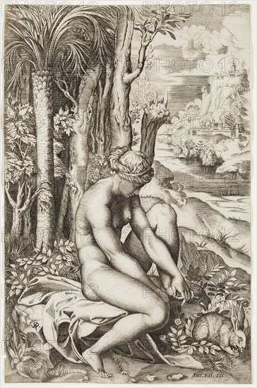 Marco Dente da Ravenna, Italian, 1482-1527, after Raphael, Italian, 1483-1520, Venus Wounded by the Thorn of a Rosebush, early 16th century, engraving printed in black ink on laid paper, Sheet (trimmed within plate mark): 10 3/8 × 6 3/4 inches (26.4 × 17.1 cm)