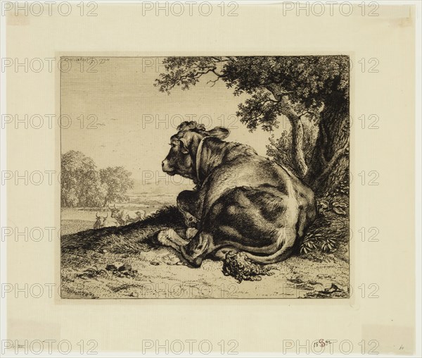 Johann Christian Reinhart, German, 1761-1847, Landscape with Calf, 1794, etching printed in black ink on laid tissue paper, Plate: 6 3/8 × 7 1/2 inches (16.2 × 19.1 cm)