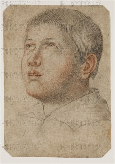 Unknown (Italian), Head of a Boy Looking Upward, ca. 1600, black and red chalk on buff laid paper, possibly antique, Sheet: 7 13/16 × 5 1/2 inches (19.8 × 14 cm)