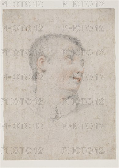 circle of Carlo Dolci, Italian, 1616-1687, Head of a Boy Facing Right, mid-17th century, black and red chalk on ivory antique laid paper, Sheet: 8 7/16 × 6 1/4 inches (21.4 × 15.9 cm)