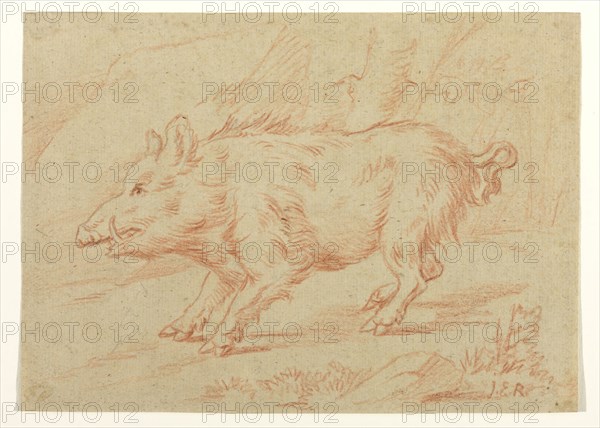 Johann Elias Ridinger, German, 1698-1769, Wild Boar, between 1698 and 1769, red crayon or chalk on tan laid paper, Sheet: 6 7/8 × 9 5/8 inches (17.5 × 24.4 cm)