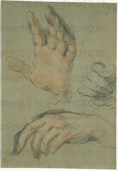 Bernardo Strozzi, Italian, 1581-1644, Study of Three Hands, between 1625 and 1630, black and red chalk and pastel on gray-blue paper, Sheet: 9 3/4 × 6 3/4 inches (24.8 × 17.1 cm)