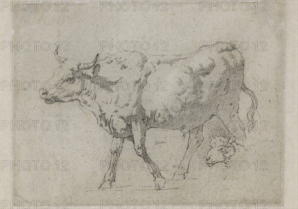 Jean Jacques de Boissieu, French, 1736-1810, An Ox and a Head of a Sheep, between 1736 and 1810, black crayon with traces of red crayon on gray laid paper, Sheet: 5 7/16 × 7 5/16 inches (13.8 × 18.6 cm)