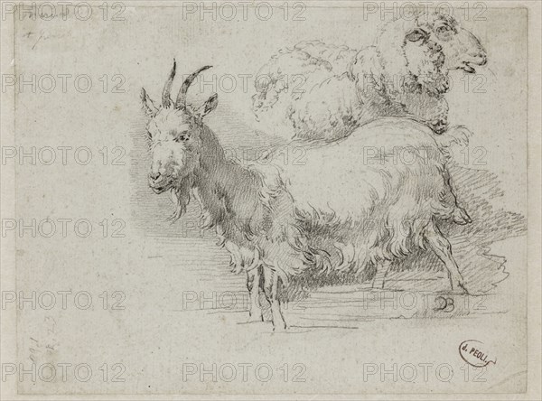 Jean Jacques de Boissieu, French, 1736-1810, Goat and Sheep, between 1736 and 1810, black crayon on gray laid paper, Sheet: 5 7/16 × 7 5/16 inches (13.8 × 18.6 cm)