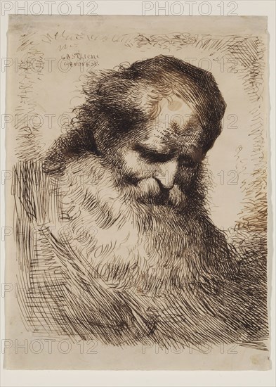 Giovanni Benedetto Castiglione, Italian, 1616 - 1670, Head of an Old Man, mid-17th century, pen and brown ink on thin cream wove paper, Sheet (irregular): 7 7/8 × 5 7/8 inches (20 × 14.9 cm)