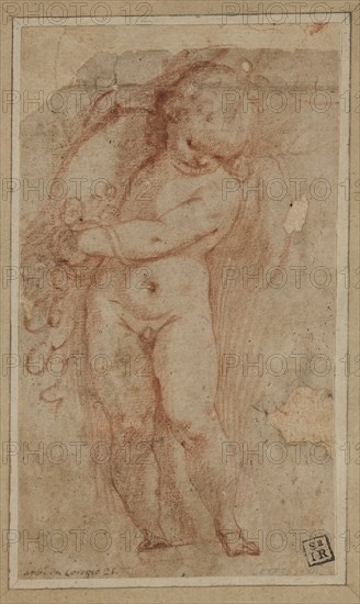Unknown (Italian), Standing Putto with Cornucopia, between 1575 and 1600, red chalk on buff laid paper, Sheet: 6 7/8 × 4 1/8 inches (17.5 × 10.5 cm)