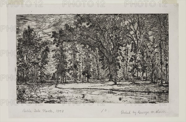 George W. Clark, American, Forest of Belle Isle Park - Detroit, 1893, etching printed in black ink on japan paper, Plate: 5 7/8 × 9 7/8 inches (14.9 × 25.1 cm)