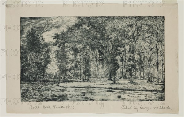 George W. Clark, American, Forest of Belle Isle Park - Detroit, 1893, etching printed in green ink on wove paper, Plate: 5 7/8 × 9 7/8 inches (14.9 × 25.1 cm)