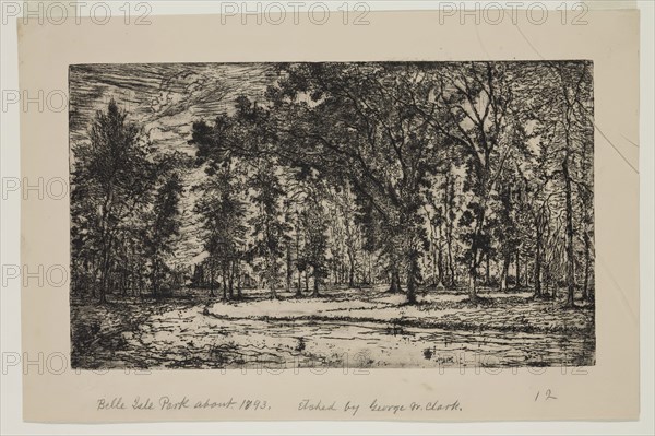 George W. Clark, American, Forest of Belle Isle Park - Detroit, 1893, etching printed in black ink on wove paper, Plate: 5 7/8 × 9 7/8 inches (14.9 × 25.1 cm)