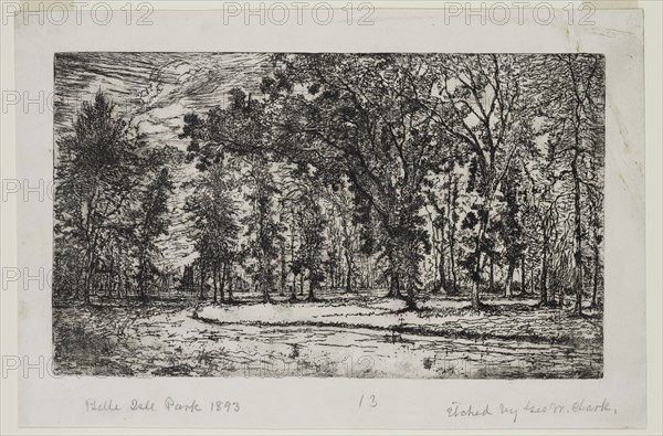 George W. Clark, American, Forest of Belle Isle Park - Detroit, 1893, etching printed in black ink on japan paper, Plate: 5 7/8 × 9 7/8 inches (14.9 × 25.1 cm)