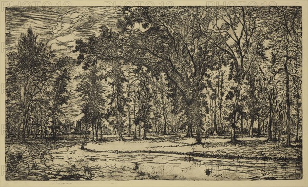 George W. Clark, American, Forest of Belle Isle Park - Detroit, 1893, etching printed in black ink on yellow wove paper, Plate: 5 7/8 × 10 inches (14.9 × 25.4 cm)
