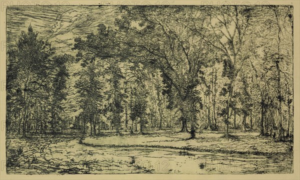 George W. Clark, American, Forest of Belle Isle Park - Detroit, 1893, etching printed in black ink on yellow wove paper, Plate: 5 7/8 × 9 7/8 inches (14.9 × 25.1 cm)