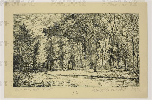 George W. Clark, American, Forest of Belle Isle Park - Detroit, 1895, etching printed in black on yellow wove paper, Plate: 5 7/8 × 9 7/8 inches (14.9 × 25.1 cm)