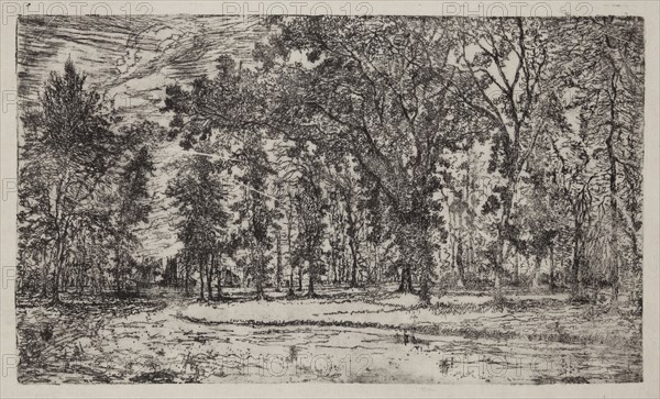 George W. Clark, American, Forest of Belle Isle Park - Detroit, 1893, etching printed in black ink on tissue, Plate: 5 7/8 × 10 inches (14.9 × 25.4 cm)