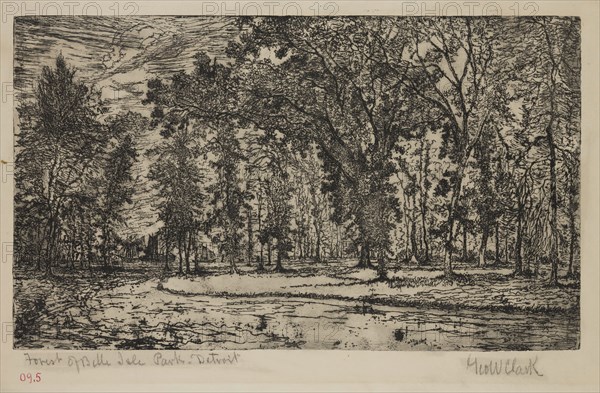 George W. Clark, American, Forest of Belle Isle Park - Detroit, 1893, etching printed in black ink on wove paper, Plate: 5 7/8 × 9 7/8 inches (14.9 × 25.1 cm)